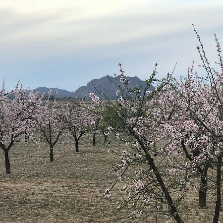 Cortijo De Los Castellanos Las Ventanas Zewnętrze zdjęcie