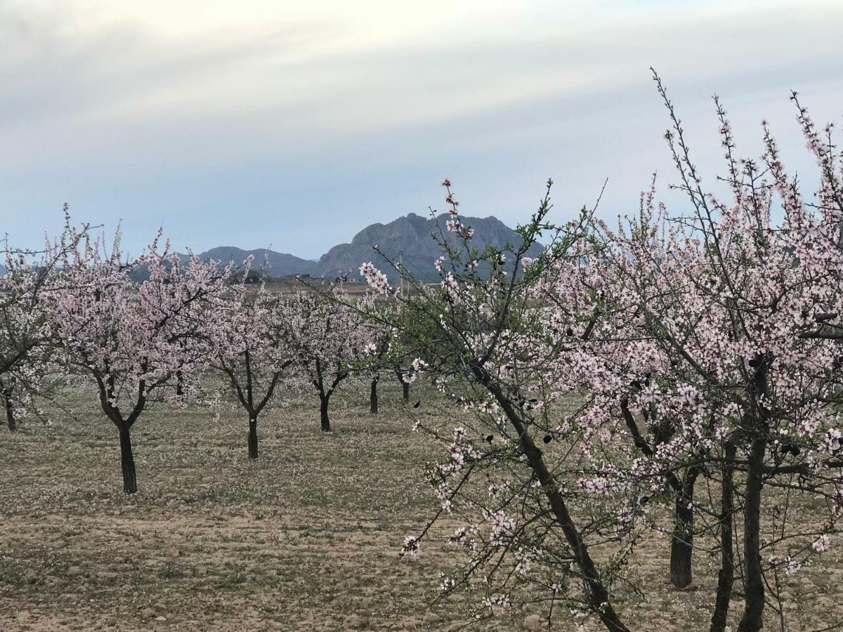Cortijo De Los Castellanos Las Ventanas Zewnętrze zdjęcie